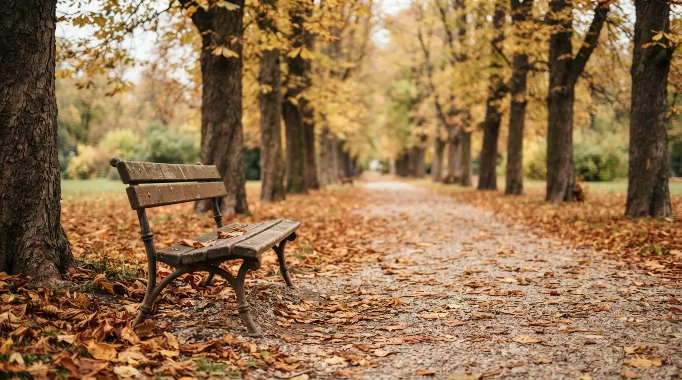 Eine Parkallee mit Kastanienbäumen und einer leeren Bank, Herbstlaub bedeckt den Kiesweg.