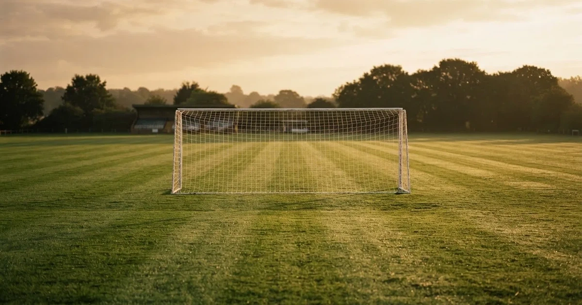 Ein Fussballtor mit weissem Netz steht auf frisch gemähtem Rasen, die hellen und dunklen Streifen im Gras leuchten im Gegenlicht.
