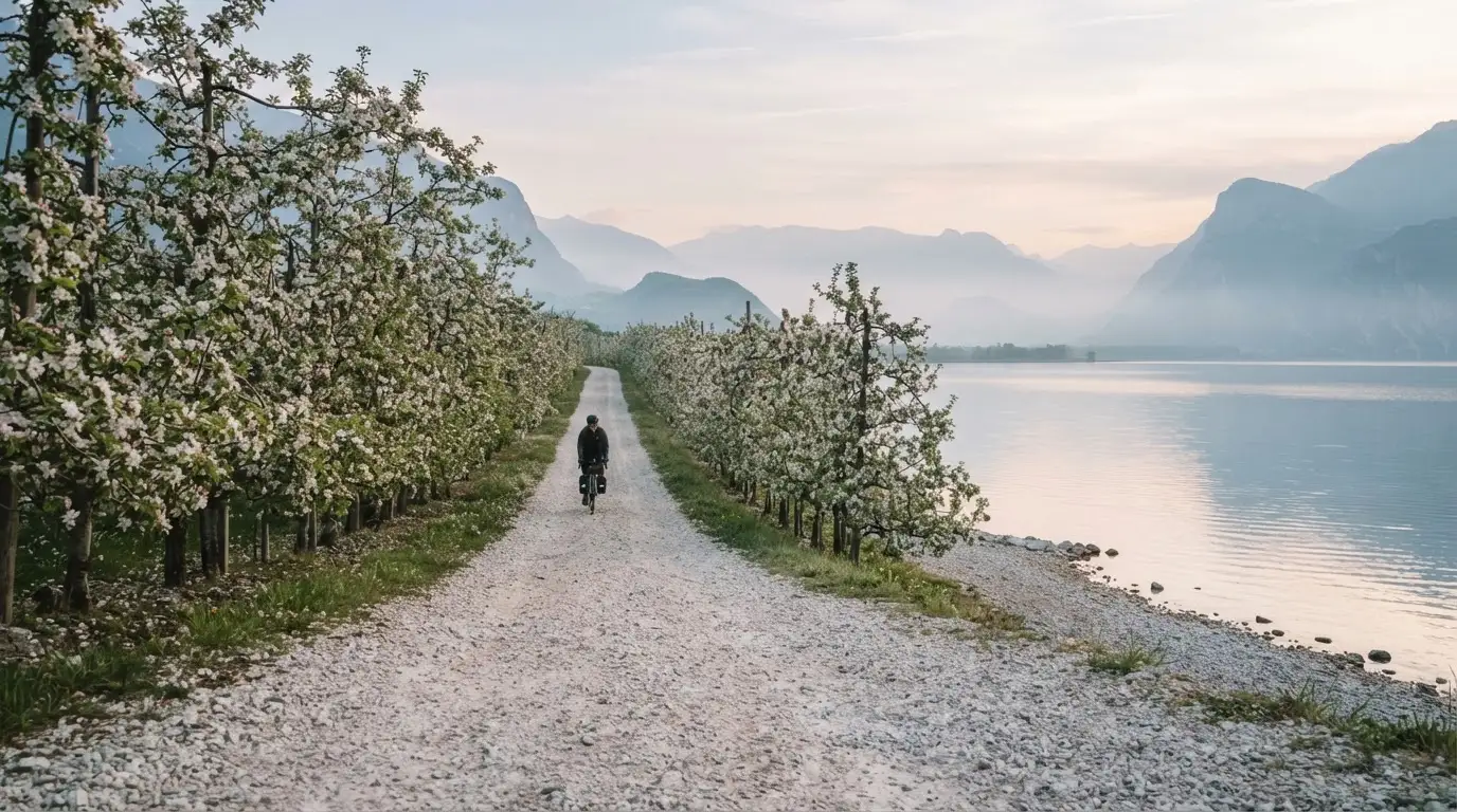 Ein langer Kiesweg zwischen Obstbäumen am Seeufer, im Hintergrund die Silhouette von Bergen im Dunst eines frühen Morgens.