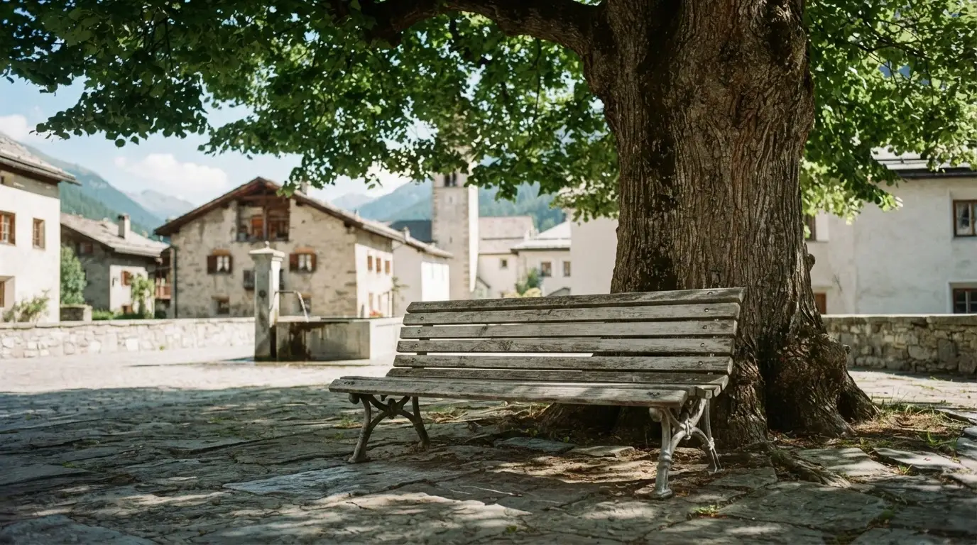 Eine leere Bank steht unter einer alten Linde auf einem Dorfplatz im Schatten.