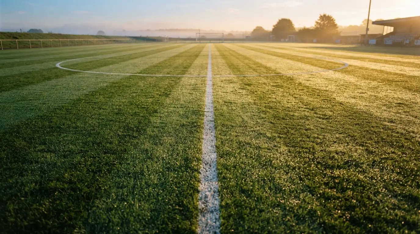 Ein Rasenspielfeld bei Sonnenaufgang, die Mittellinie verläuft quer durchs Bild und Tau glitzert auf dem Gras.