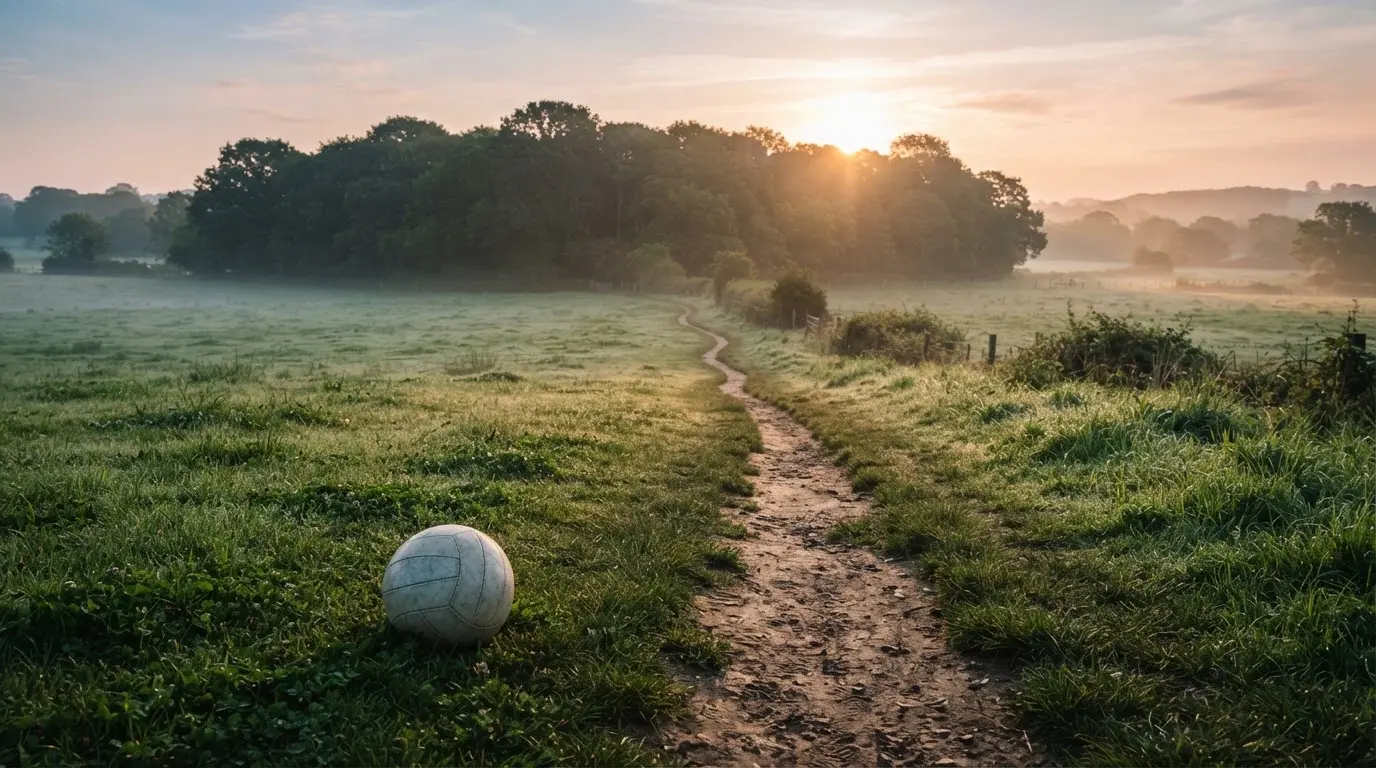 Ein Feldweg führt bei Sonnenaufgang zwischen Wiesen auf ein Waldstück zu.